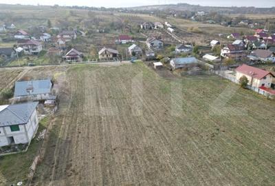 Teren de 3631 mp, în Ciurea