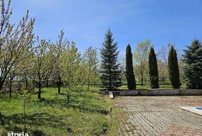 Casă cu 10 camere cu Teren 10000 Mp în Vorona - 9