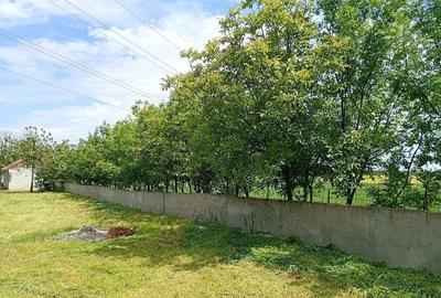 Casă cu 2 camere cu Teren 3500 Mp în Central - 4