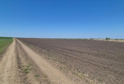 Teren agricol extravilan de 11961 mp, în Sitaru - 2