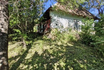 Teren de 1950 mp, în Dioșod