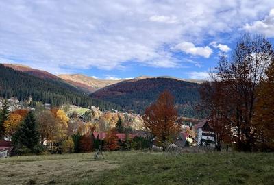 Teren de 5500 mp, în Central