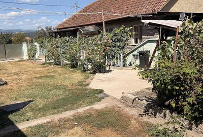 Casă cu 3 camere cu Teren 4266 Mp în Meșcreac