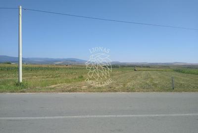 Teren agricol extravilan de 2000 mp, în Jelna - 1