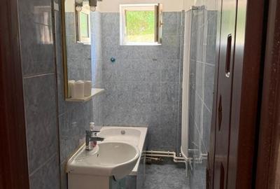 Apartament cu 3 camere în Craiovița Nouă - 5