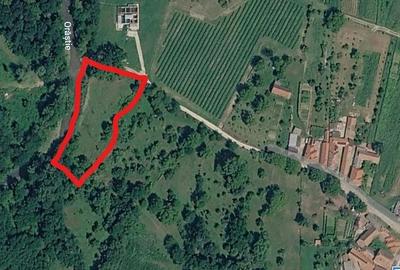 Teren de 3000 mp, în Bucium