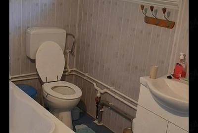 Casă cu 3 camere cu Teren 1100 Mp în Valea Măcrișului - 3