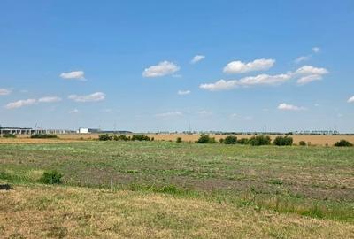 Teren agricol intravilan de 2600 mp, în Ștefăneștii de Jos - 5