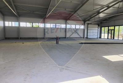 Spațiu industrial, de 200 mp, în Cernica - 9