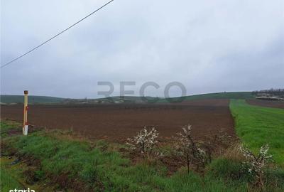Spațiu comercial, în Ghenetea - 4
