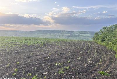 Teren de 990 mp, în Iris