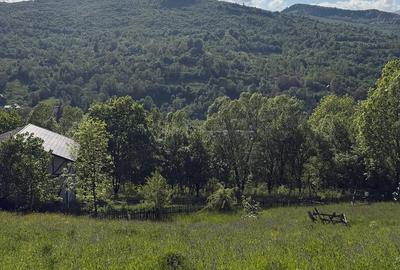Teren de 1200 mp, în Valea Doftanei