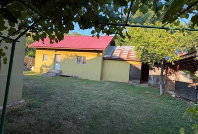 Casă cu 3 camere cu Teren 700 Mp în Vierșani