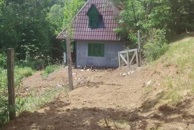 Casă cu 2 camere în Muntele Băișorii - 1