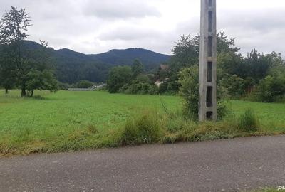 Teren de 5422 mp, în Viișoara