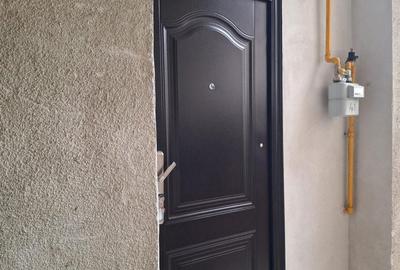 Garsonieră în Elisabetin - 5