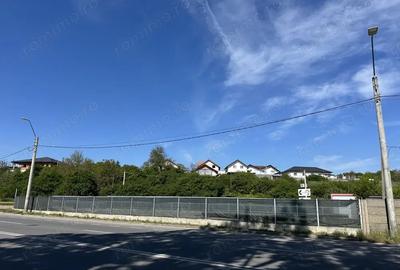 Teren de 800 mp, în Peștișu Mare - 3