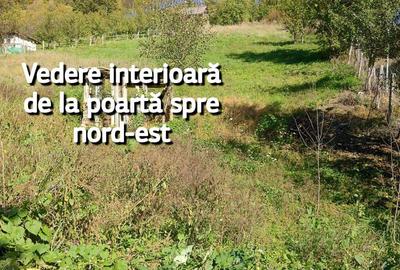 Teren de 2310 mp, în Central - 7