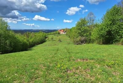 Teren extravilan de 46000 mp, în Bârzava