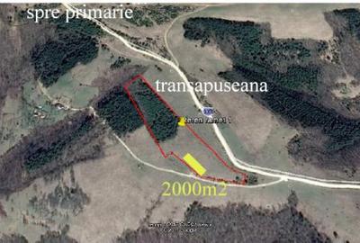 Teren extravilan de 2000 mp, în Râmeț - 1