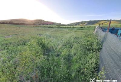 Teren agricol, în Florești - 1