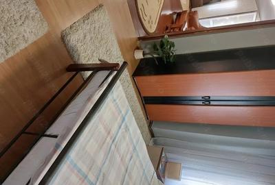 Casă cu 6 camere în Băiuț - 9