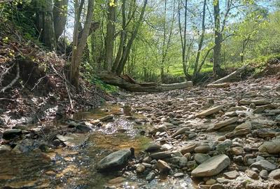 Teren de 1800 mp, în Varvata - 10
