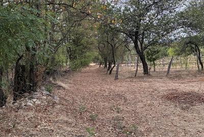 Teren de 1193 mp, în Polovragi