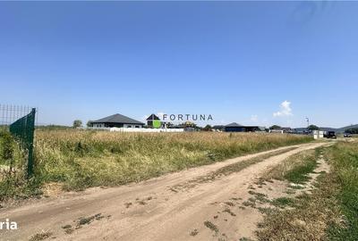 Spațiu comercial, în Sânpetru