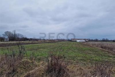 Teren de 1167 mp, în Borș - 2