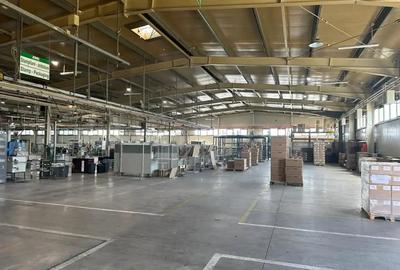 Spațiu comercial, de 8,000 mp, în Central