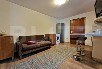 Apartament cu 2 camere semidecomandat în Plopilor - 1