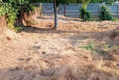 Casă cu 4 camere în Bumbăta