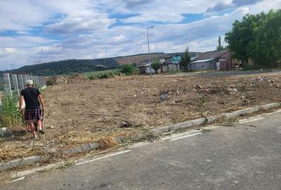 Spațiu comercial, în Făclia