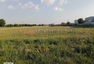 Teren de 11600 mp, în Ghiroda