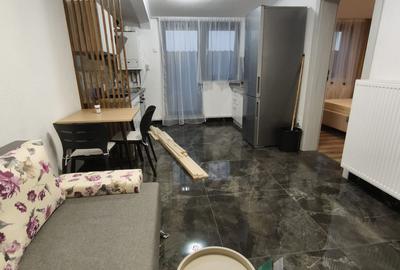Apartament cu 2 camere semidecomandat, mobilat în Mănăștur