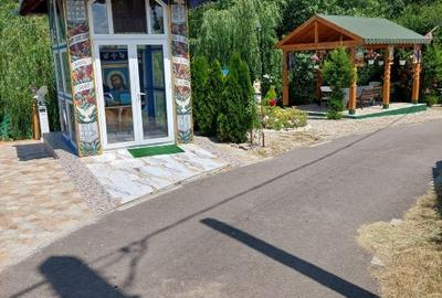 Casă individuală cu 2 camere cu Teren 4500 Mp în Ionești - 10