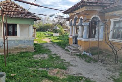 Casă cu Teren 1111 Mp în Hotărani - 3