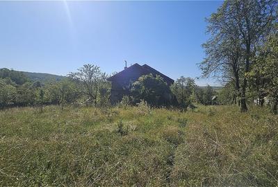 Casă individuală cu 4 camere cu Teren 4873 Mp în Pietroasa - 1
