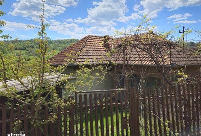 Casă cu 2 camere cu Teren 1200 Mp în Corbeni - 2