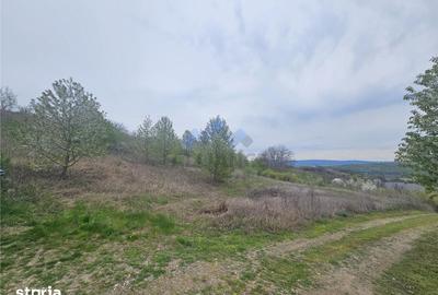Teren de 9000 mp, în Miroslava