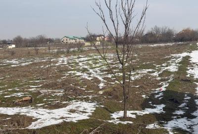 Teren Construcții intravilan de 2500 mp, în Malu Mare - 3