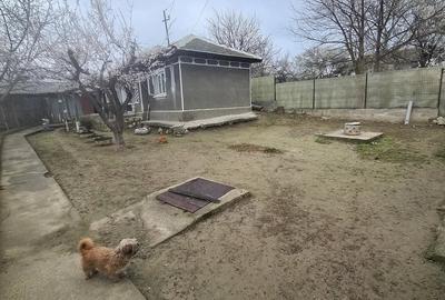 Casă cu 3 camere cu Teren 302 Mp în Topalu - 3