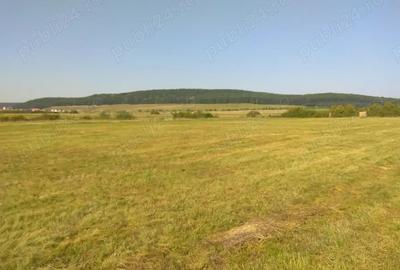Teren de 5800 mp, în Suseni - 5