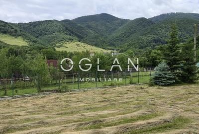 Teren Construcții intravilan de 970 mp, în Sadu - 1