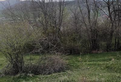 Teren de 2600 mp, în Izvoarele - 2