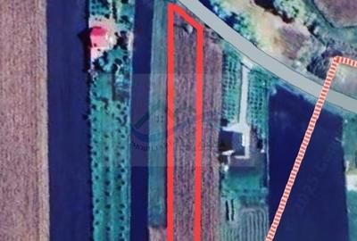 Teren de 3300 mp, în Moara