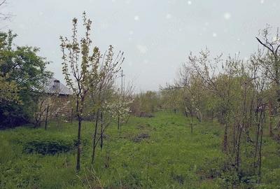 Teren de 3000 mp, în Predeal - 9