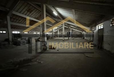 Spațiu industrial, de 1,061 mp, în Dumbrăvioara - 9