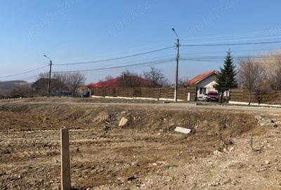 Casă cu 3 camere cu Teren 430 Mp în Lugoj - 2